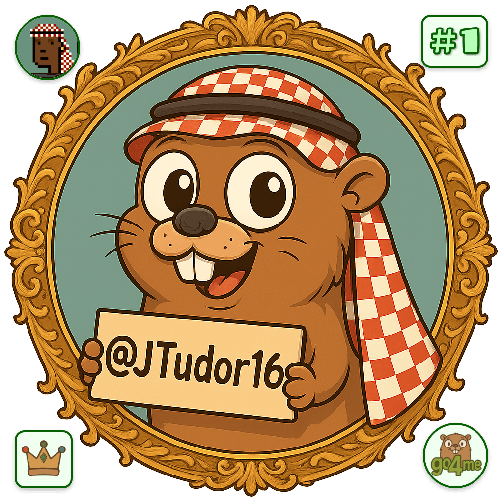 JTudor16 avatar